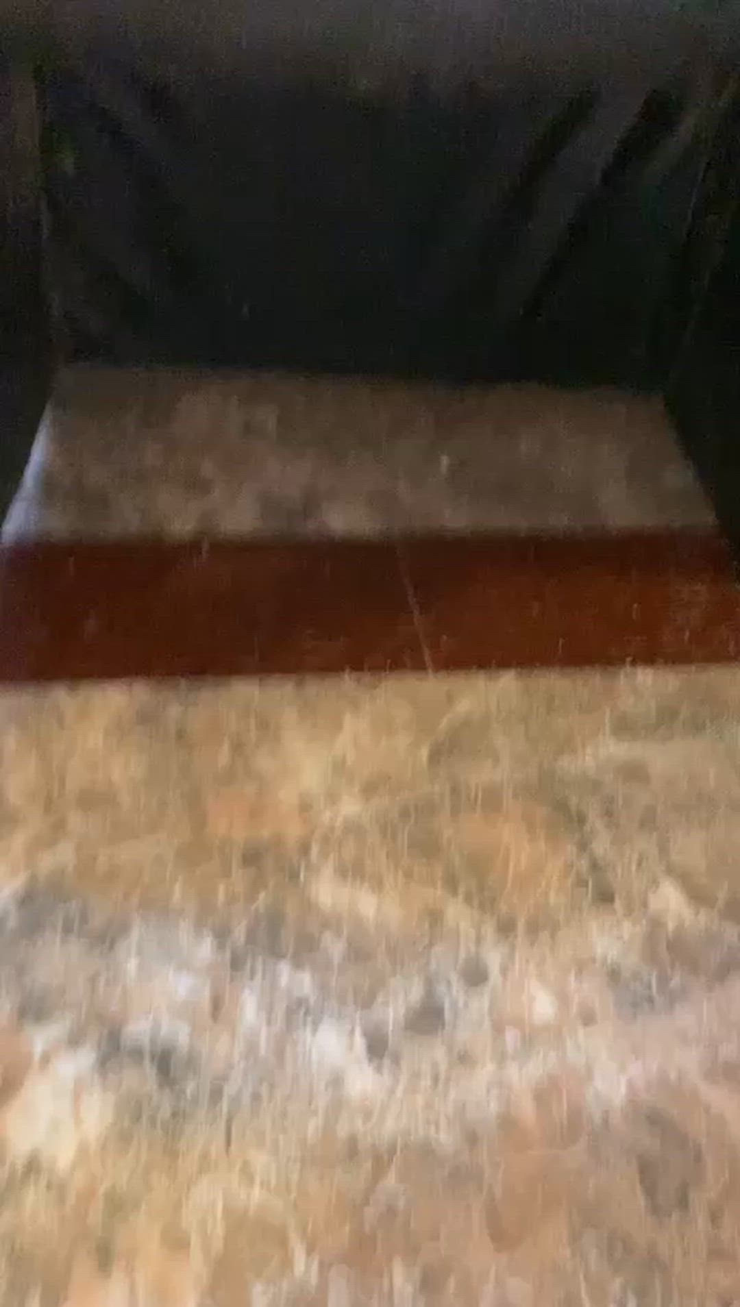 Big Ass Big Dick Big Tits